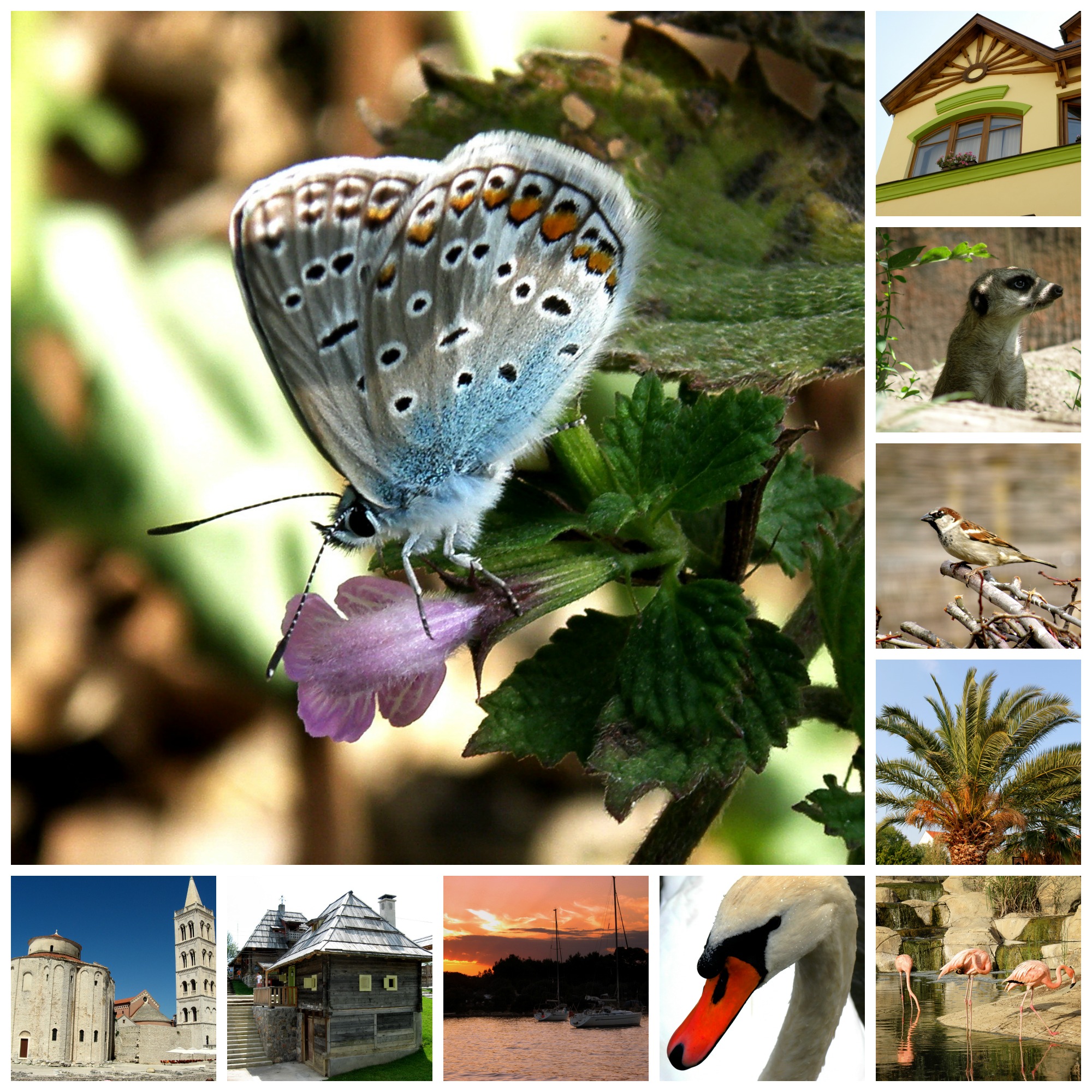 10 Royalty Free Photo Download